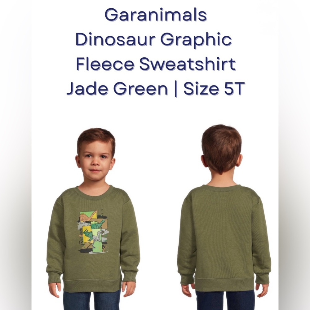 Garanimals Boys Dinosaur Graphic Fleece Sweatshirt – Jade Green | Size 5T